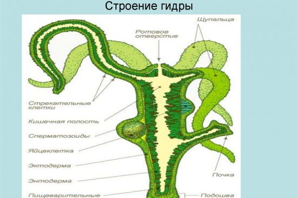 Kraken ссылка для тору