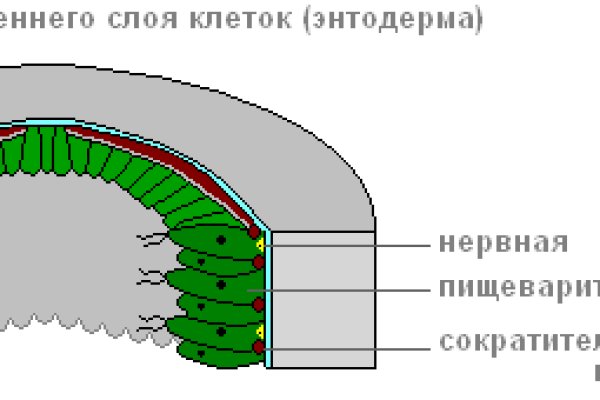 Как зайти на кракен через тор браузер