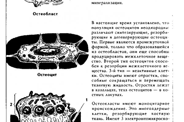 Кракен это известный маркетплейс