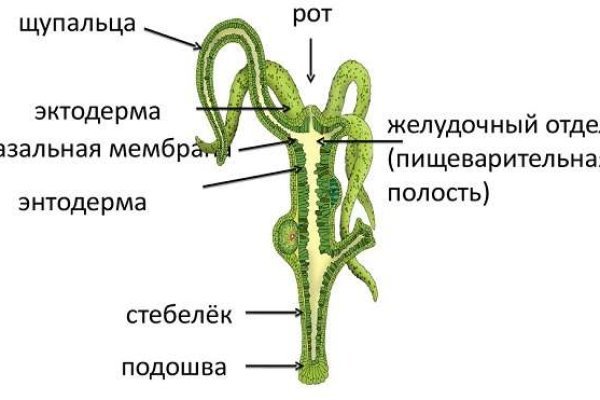 Кракен ссылка тор kraken014 com